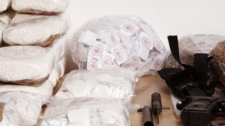 La JIRS et la lutte contre la criminalité organisée